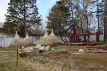 2-IMG_8566.JPG