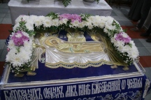 IMG_5463.jpg